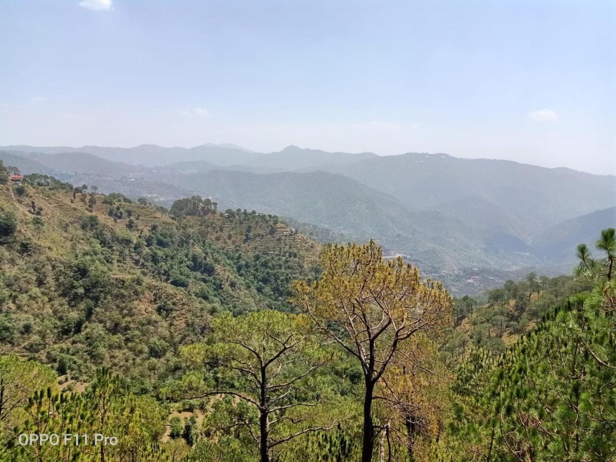 Villa Pine Peak Kasauli Exterior foto