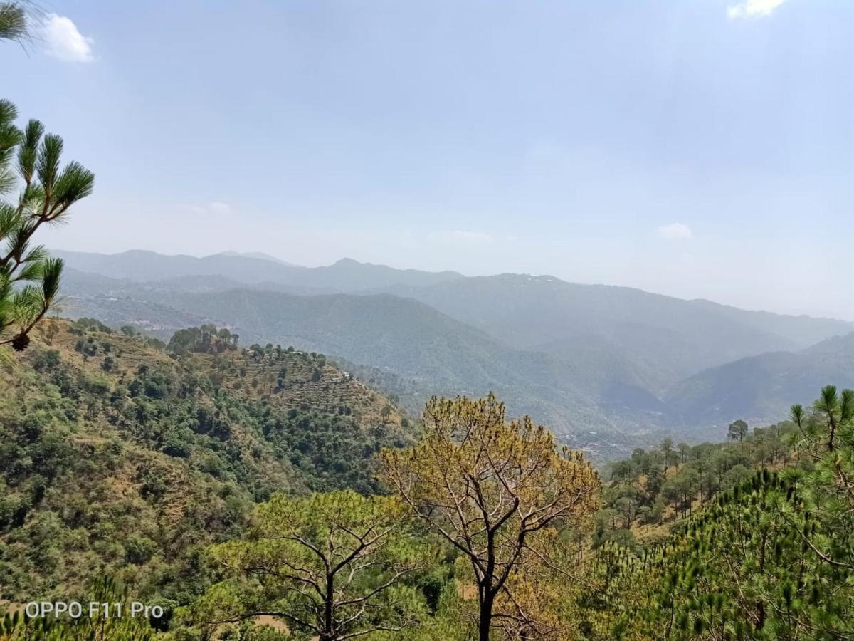 Villa Pine Peak Kasauli Exterior foto